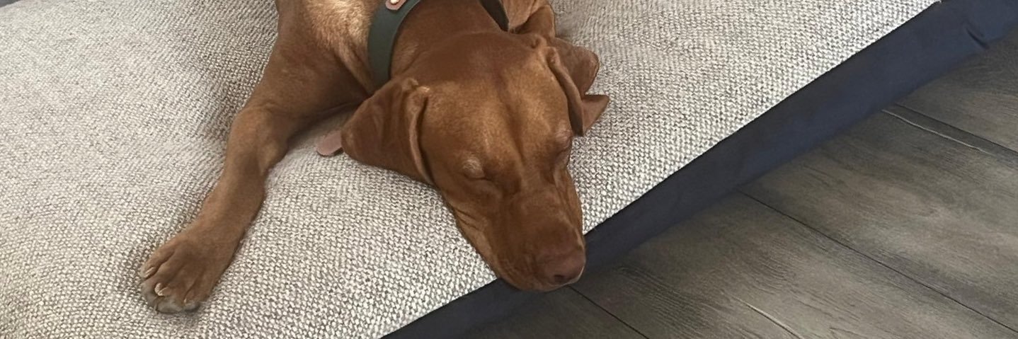 nph73's profile banner image