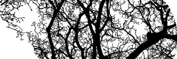 AVERTtrial Profile Banner