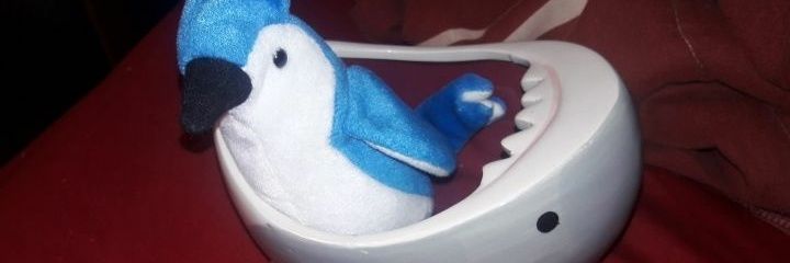 Flexed Reality banner