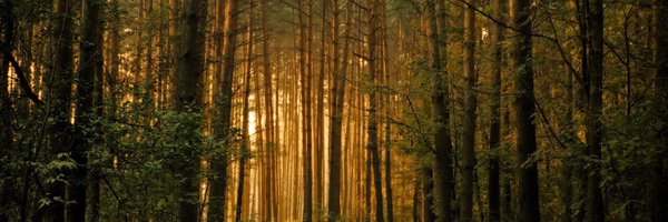 Wendigoon8 Profile Banner