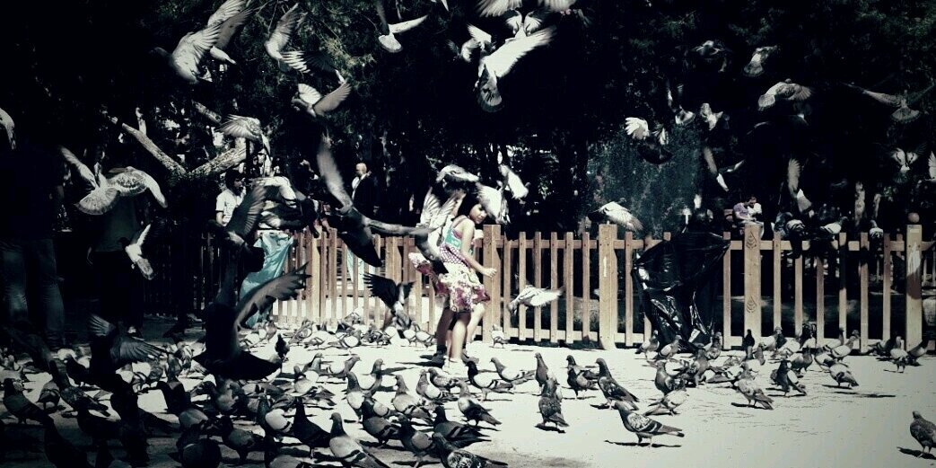 ozgeyildim's profile banner image