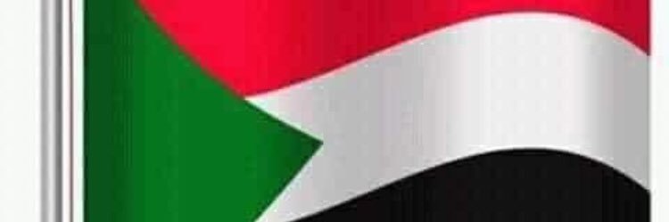 abodi_980's profile banner image