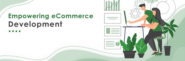 DevelopersCapi1 Profile Banner