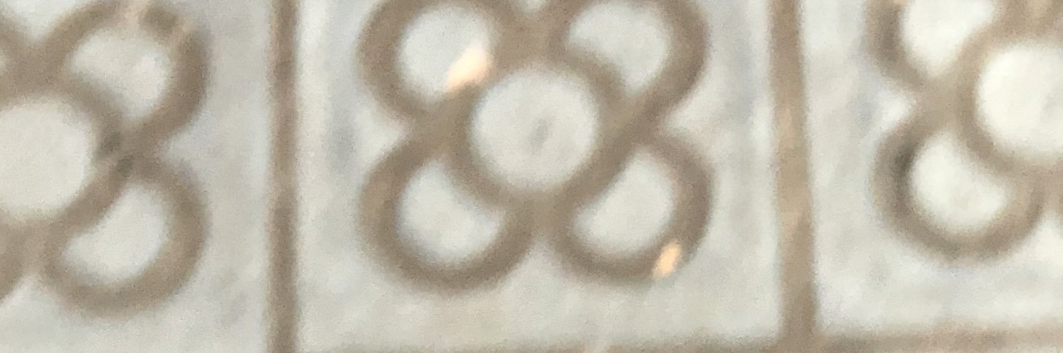 perdutpeldesert's profile banner image