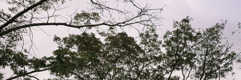 NianOtis's profile banner image