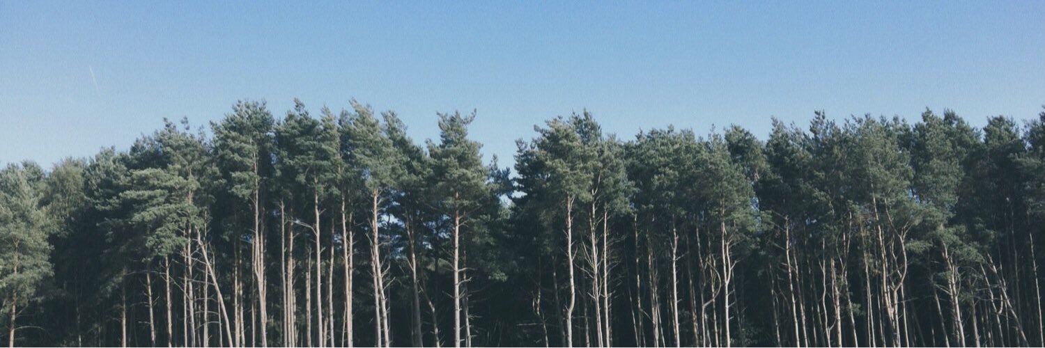 approachthewolf's profile banner image