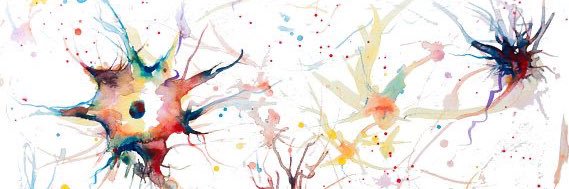 Valentinko_DF's profile banner image