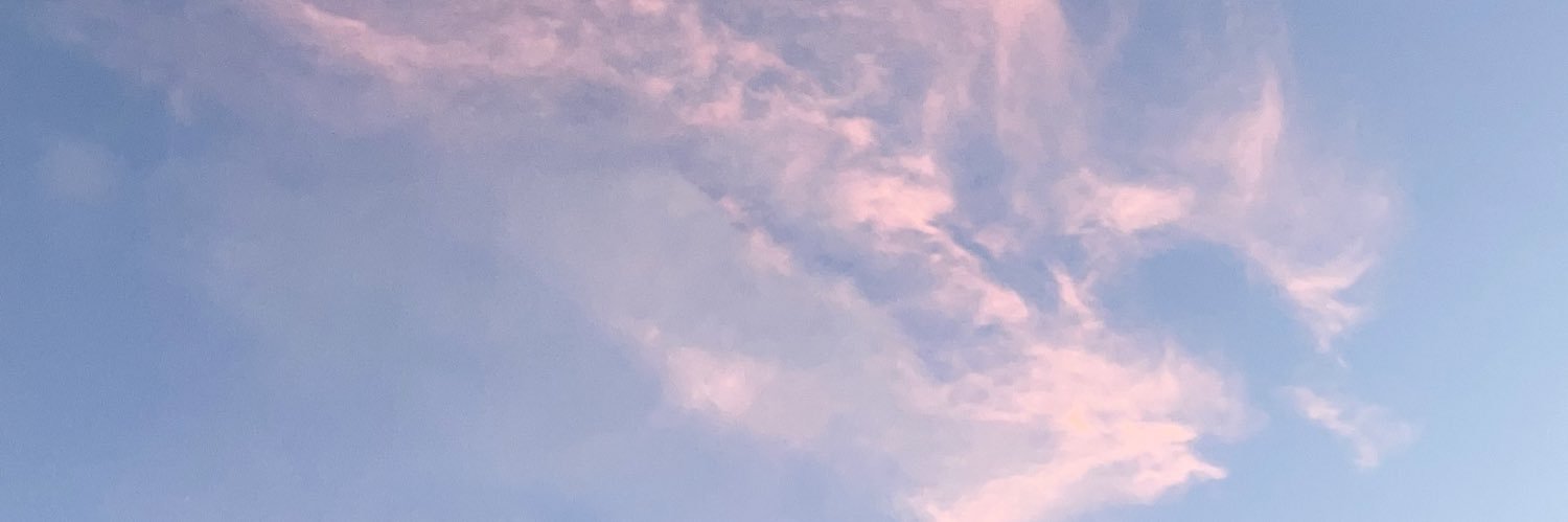 ShuviiG's profile banner image