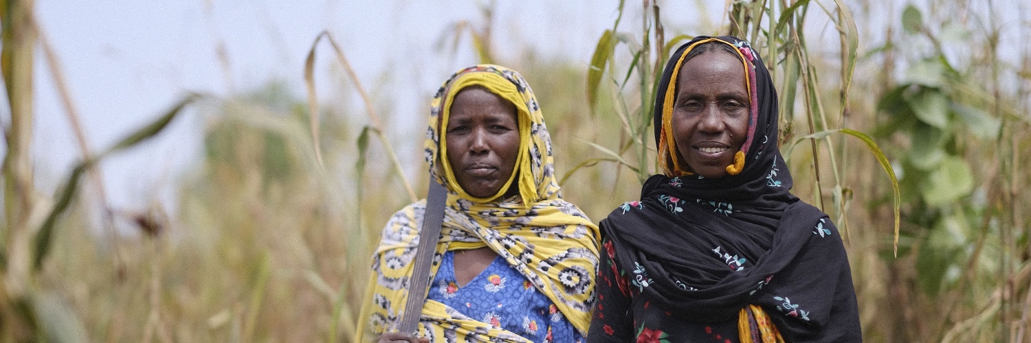 Canadian Lutheran World Relief banner