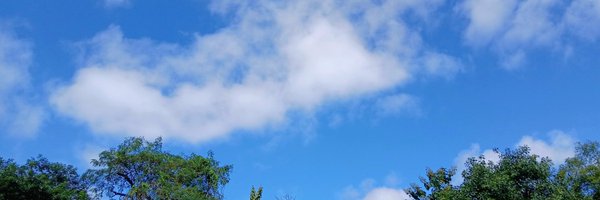 alwrites Profile Banner