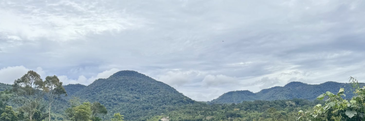 cekaaly's profile banner image