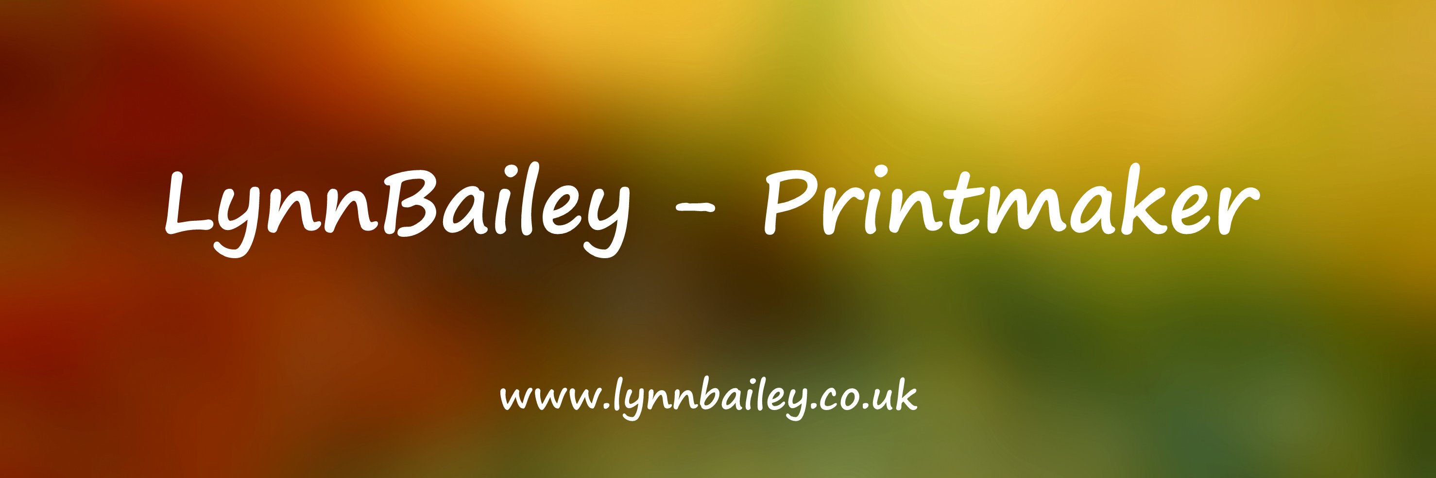Lynn Bailey banner