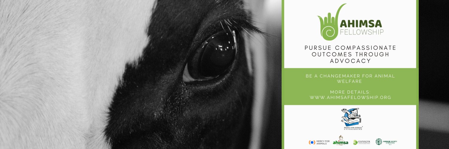 People For Animals Public Policy Foundation banner