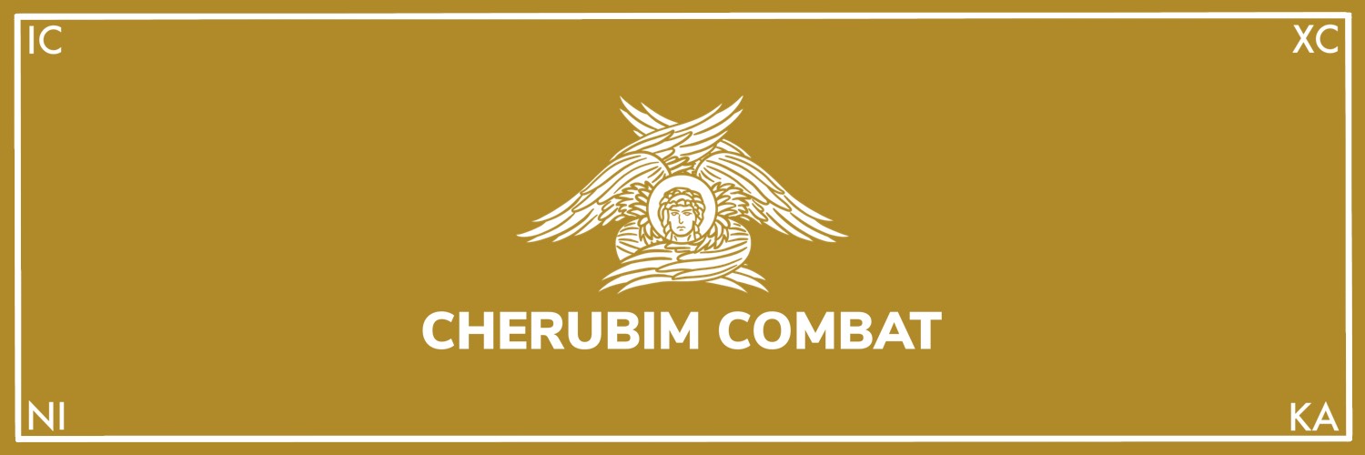 CherubimCombat's profile banner image