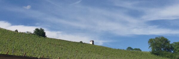 olivier_frey Profile Banner