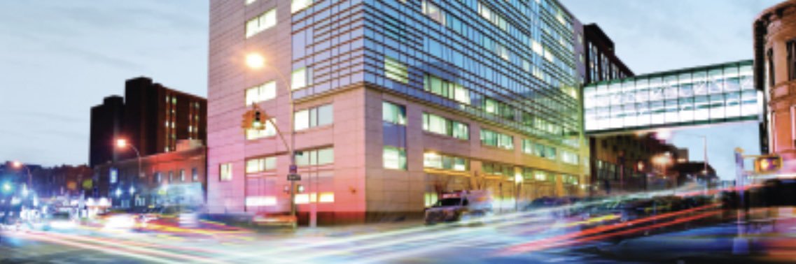 Maimonides IM banner