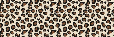 KaceySelken's profile banner image