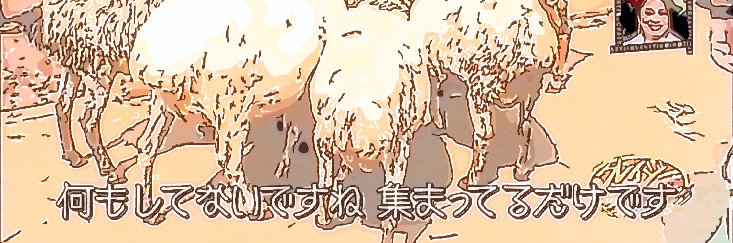 ɓuısıɹ ǝuolɔʎɔ ʇǝɾ oqɹnʇ twin ıɹıɥso stranding banner