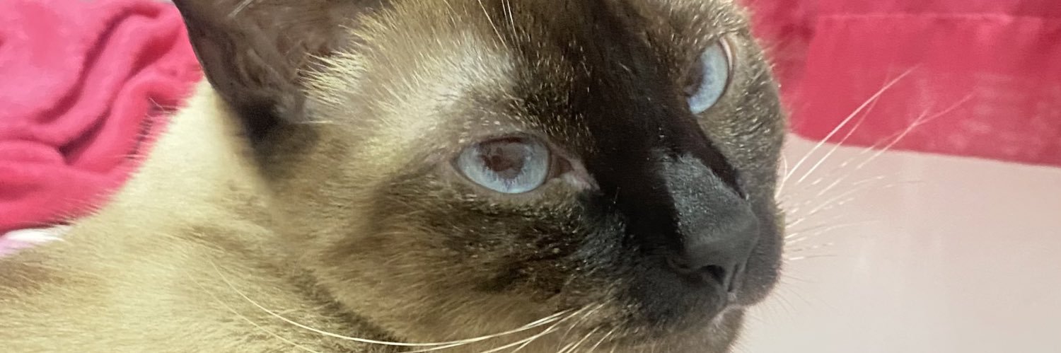 tailaMart's profile banner image