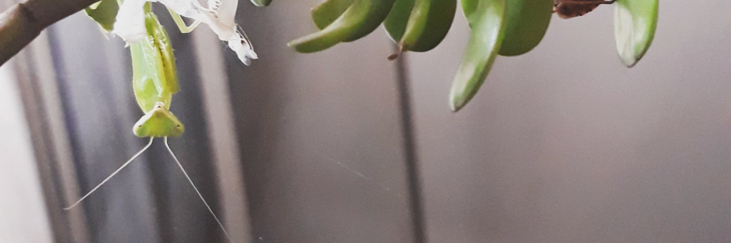thriteme's profile banner image