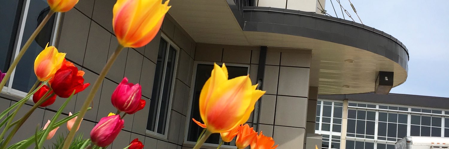 swtc's profile banner image