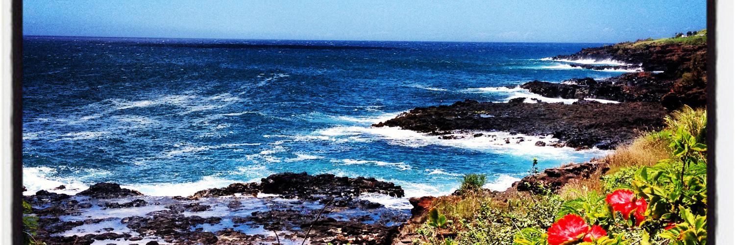 Aswita Tan-McGrory banner