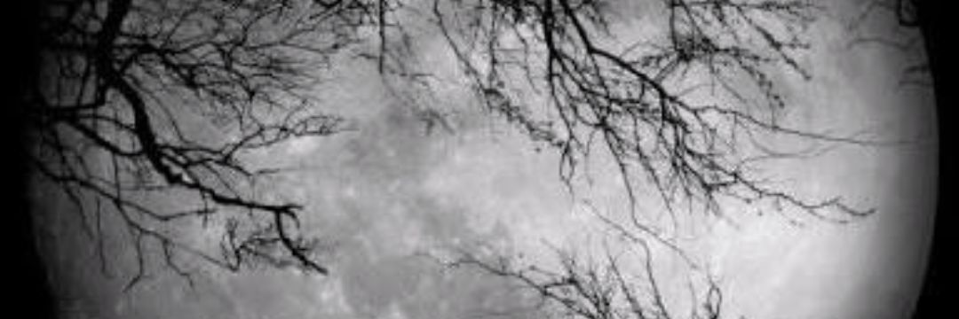 54Sela's profile banner image