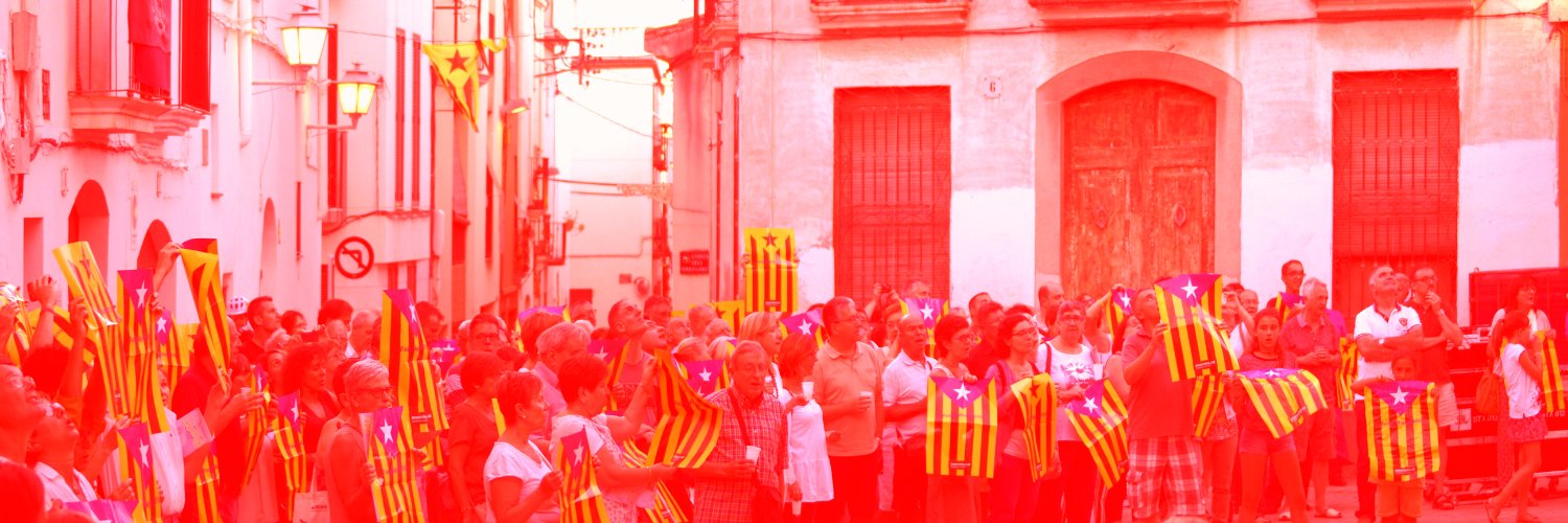 Consell Local per la República - VNG banner