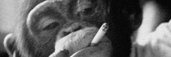 WSB__Chairman Profile Banner