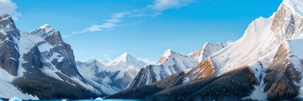 meidoor's profile banner image