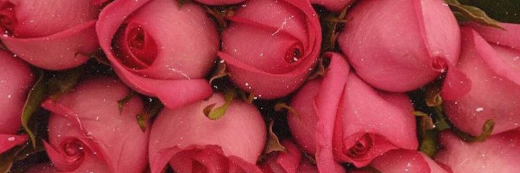 Lihiolia95's profile banner image