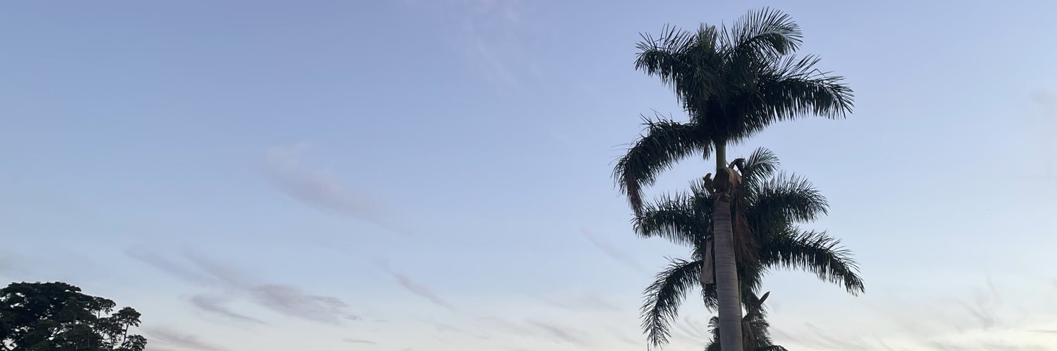 duduprs_'s profile banner image