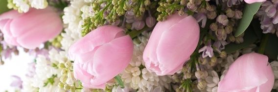 Rie_sense's profile banner image