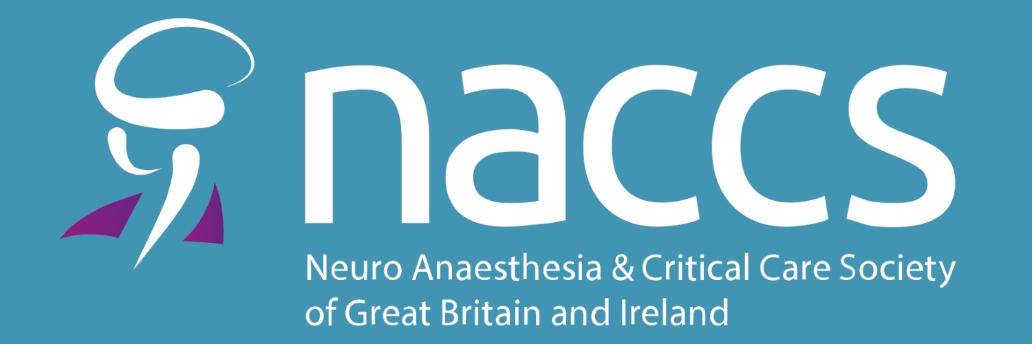 🄽🄰🄲🄲🅂 banner