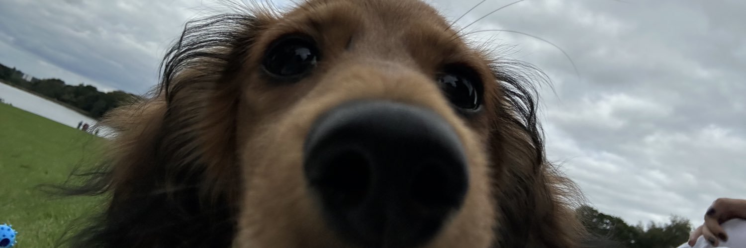 karamckune's profile banner image