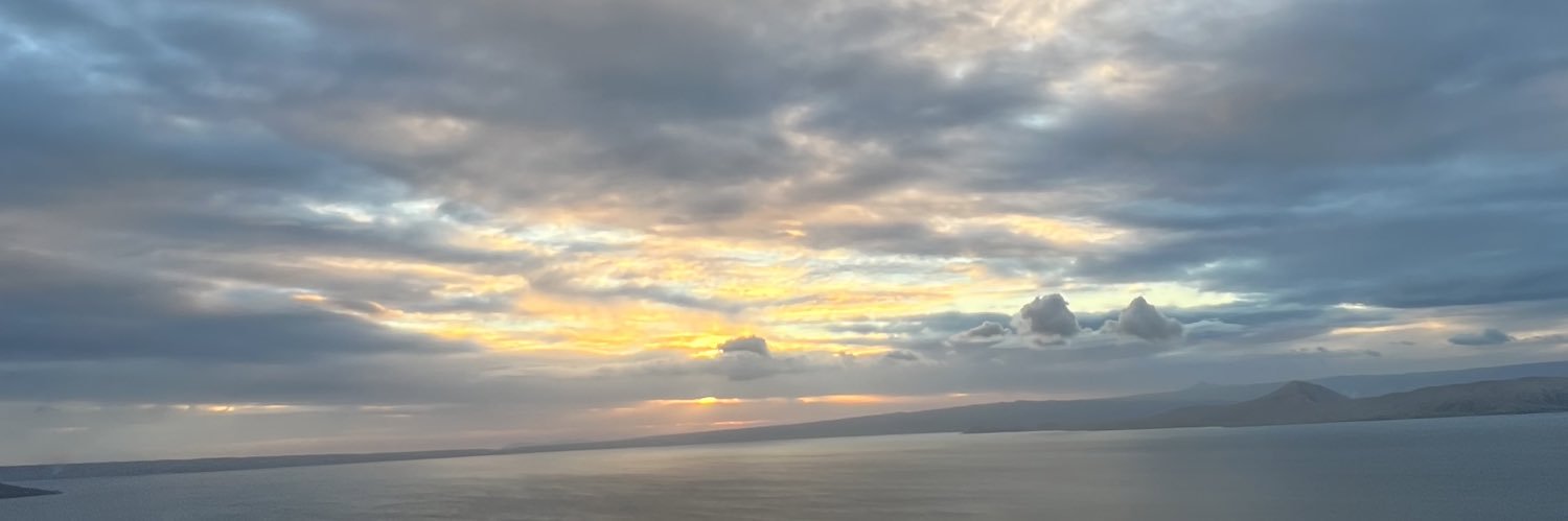 dnscrz's profile banner image