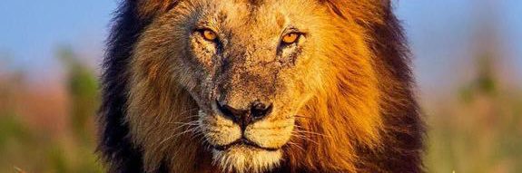 Ripusudann Mishrra banner