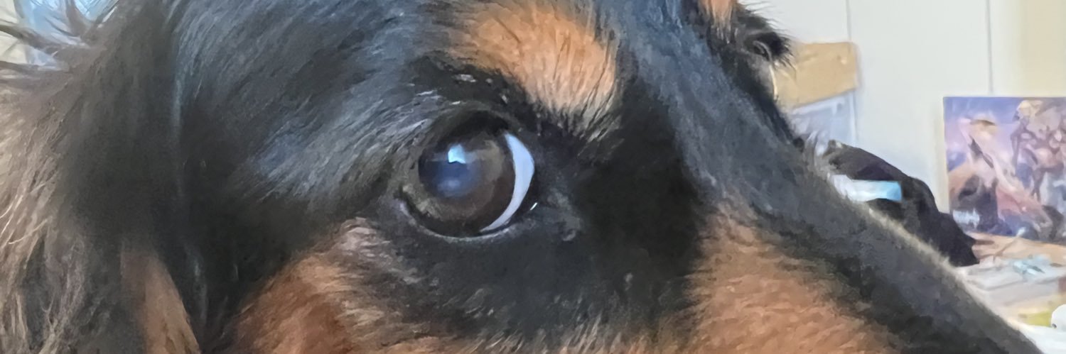 Flanders_Dog12's profile banner image