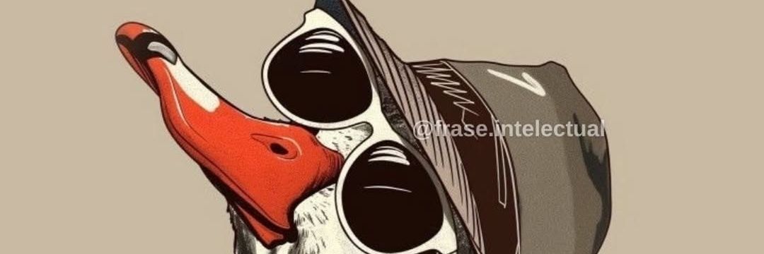 TittonD's profile banner image