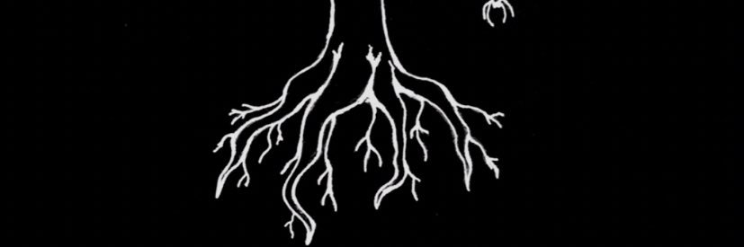 DavidLuke0123's profile banner image