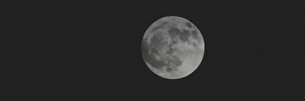 spring96k Profile Banner