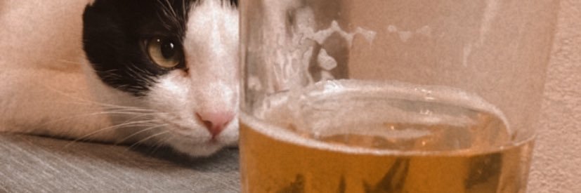 tchu_ny's profile banner image