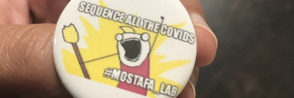 hmostaf2 Profile Banner