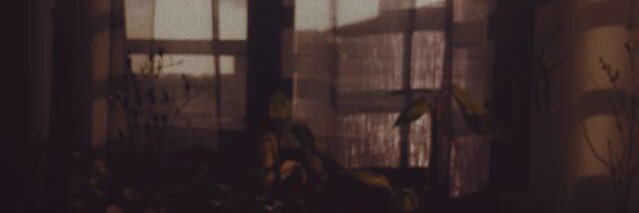_ananecaa's profile banner image
