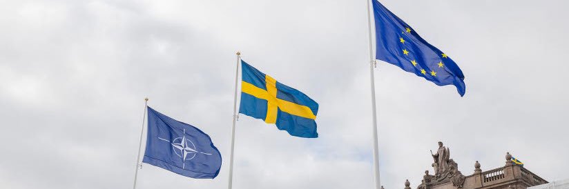 Zebulon Carlander banner