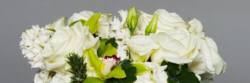 Fleur De Pascal banner