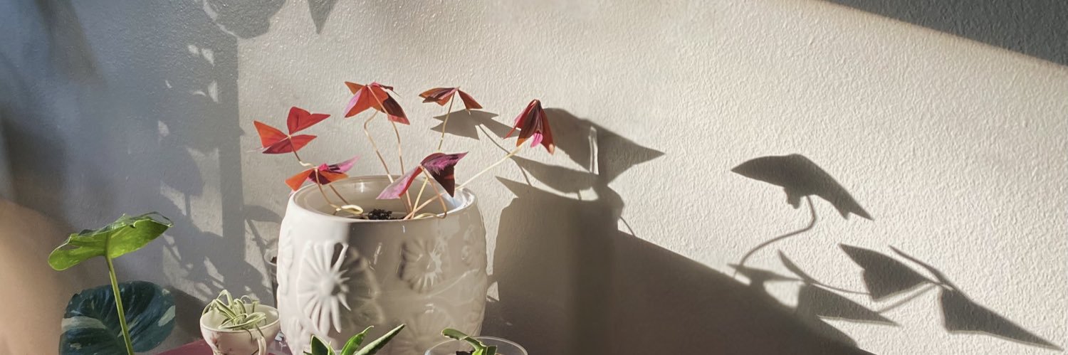 ☘︎ R܁𓂃.☘︎ banner