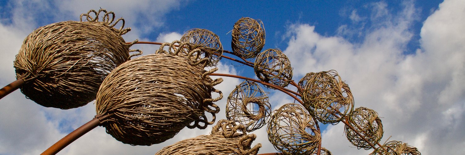 Kate Stephens banner