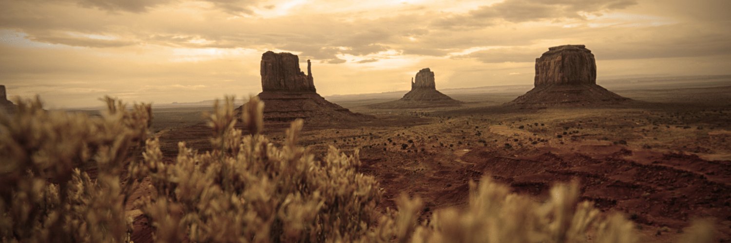 Native Lands Advocacy Project banner