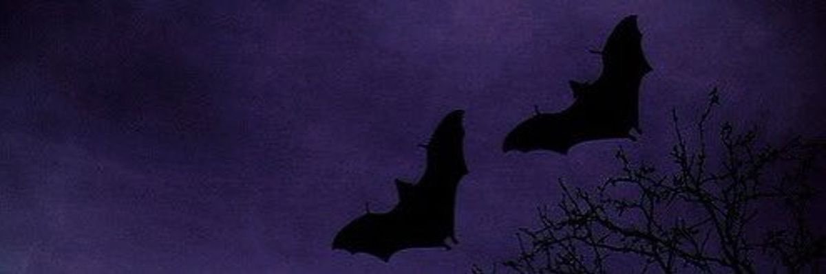 yourbatsy's profile banner image